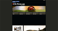 Desktop Screenshot of digitalokphoto.com